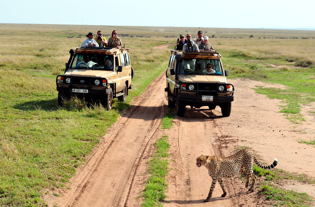 5-Day Tarangire, Serengeti & Ngorongoro Luxury Safari