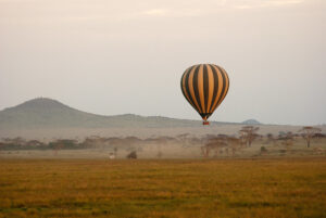 Read more about the article Serengeti National Park