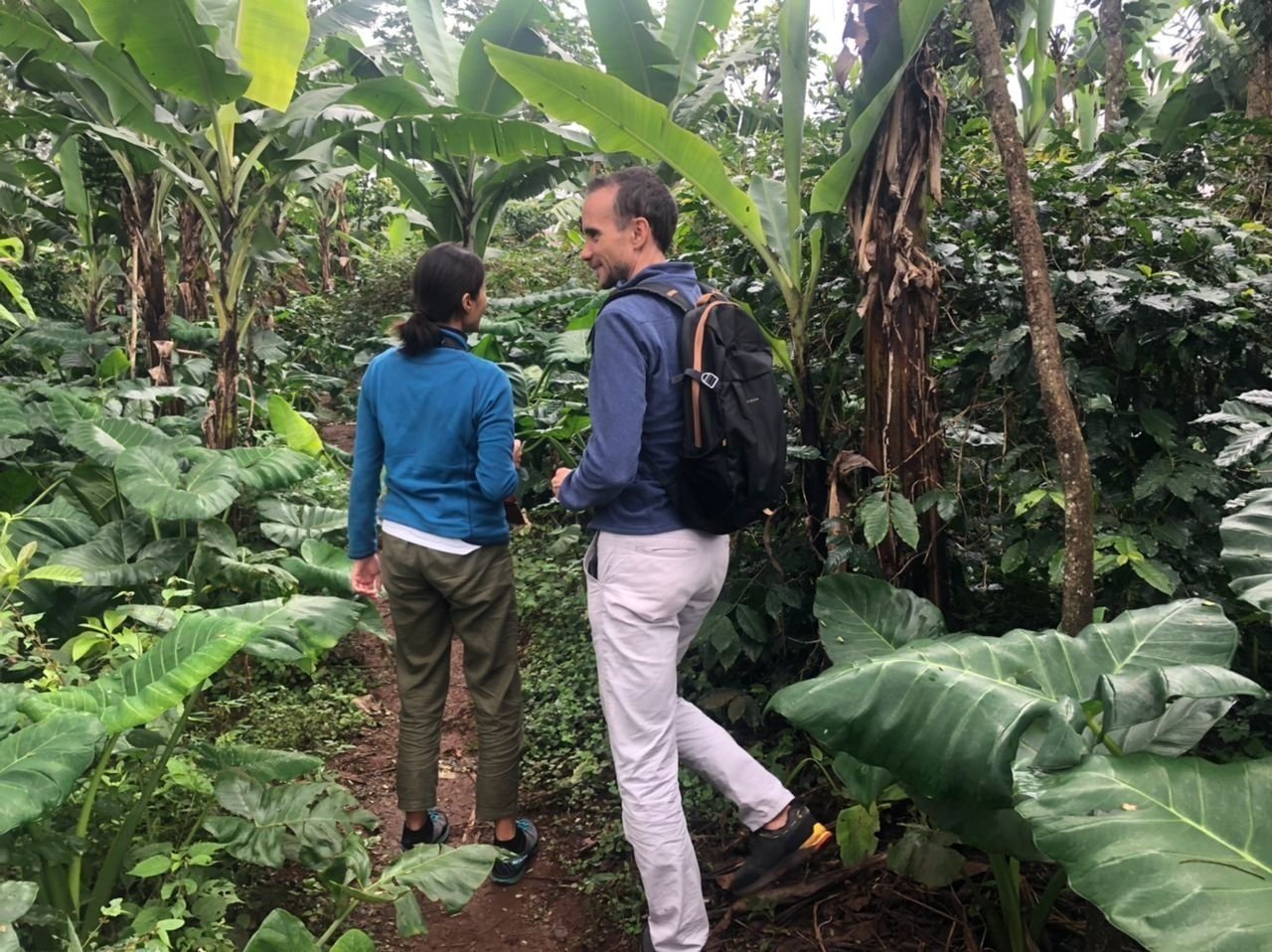 Read more about the article Tanzania Coffee Tour