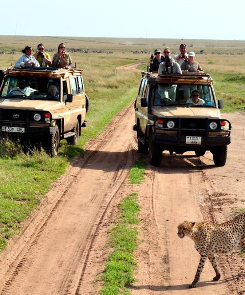 5-Day Tarangire, Serengeti & Ngorongoro Luxury Safari