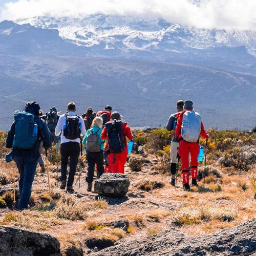 Kilimandjaro_climbers2