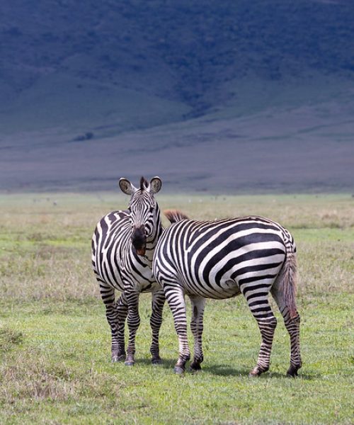 Ngorongoro Crater_c