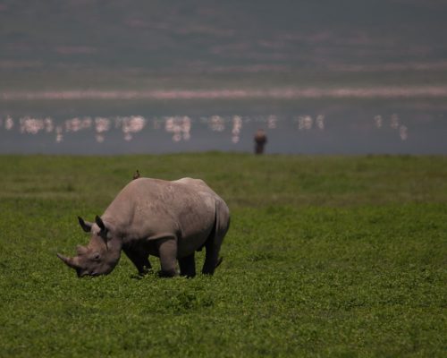 Ngorongoro Crater_k