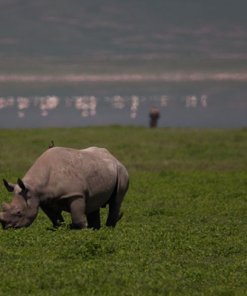 Ngorongoro Crater_k