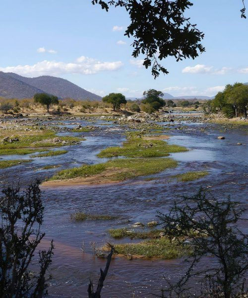 Ruaha_National_Park_Ruaha_River_85